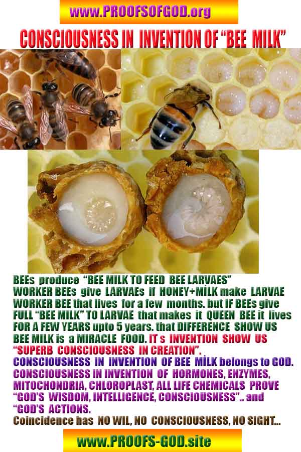 evidences of God, proofs of God, proof of God, signs of God, God is real proofs, God exists proofs, god's signs