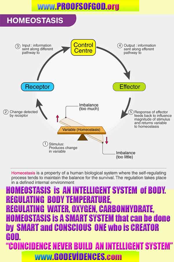 evidences of God, proofs of God, proof of God, signs of God, God is real proofs, God exists proofs, god's signs