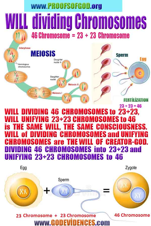 evidences of God, proofs of God, proof of God, signs of God, God is real proofs, God exists proofs, god's signs