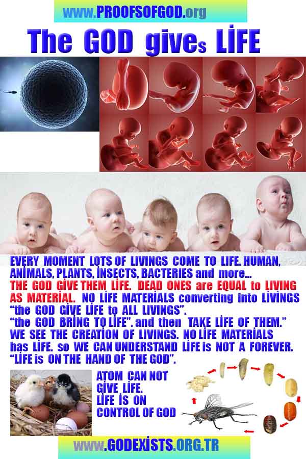 evidences of God, proofs of God, proof of God, signs of God, God is real proofs, God exists proofs, god's evidences