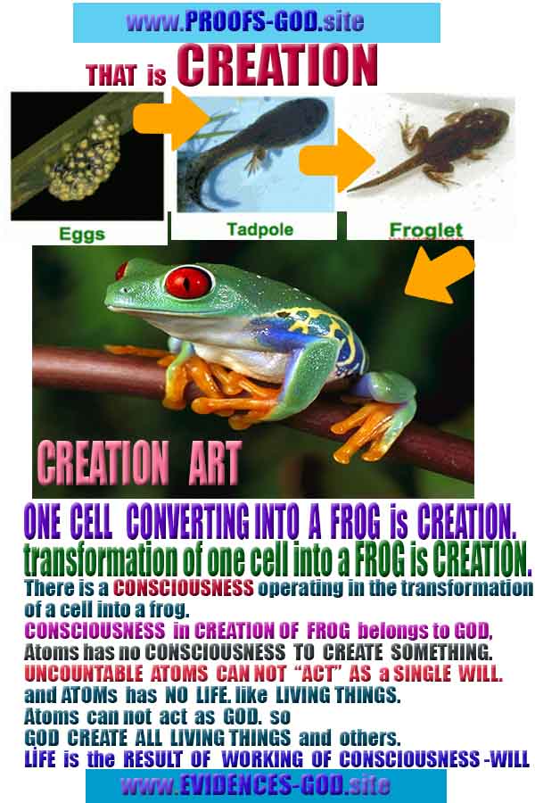 evidences of God, proofs of God, proof of God, signs of God, God is real proofs, God exists proofs, god exists, god is real evidences and proofs