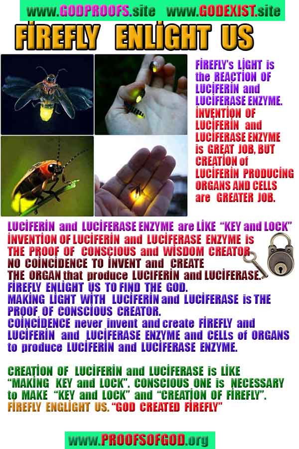 evidences of God, proofs of God, proof of God, signs of God, God is real proofs, God exists proofs, god's proofs