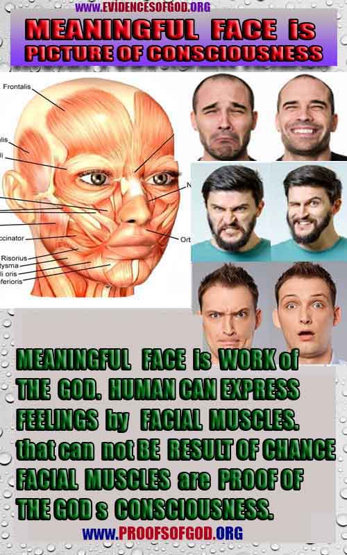 evidences of God, proofs of God, proof of God, signs of God, God is real proofs, God exists proofs, god's signs