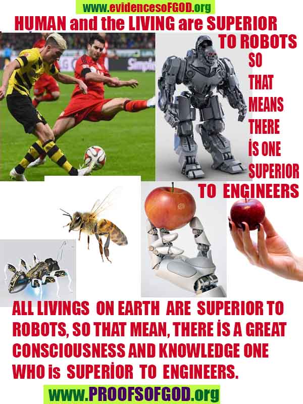 evidences of God, proofs of God, proof of God, signs of God, God is real proofs, God exists proofs, god's proofs