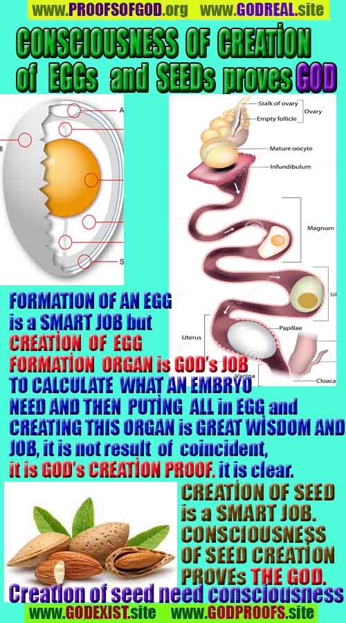 evidences of God, proofs of God, proof of God, signs of God, God is real proofs, God exists proofs, god exists, god is real evidences and proofs