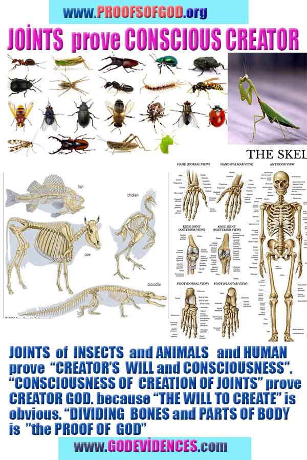 evidences of God, proofs of God, proof of God, signs of God, God is real proofs, God exists proofs, god's evidences