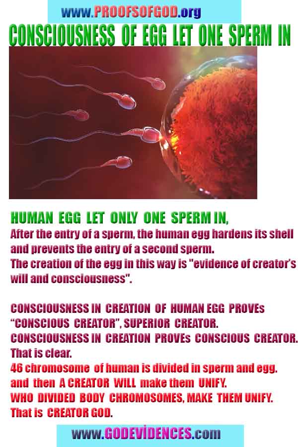 evidences of God, proofs of God, proof of God, signs of God, God is real proofs, God exists proofs, god's proofs