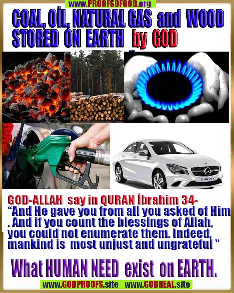 evidences of God, proofs of God, proof of God, signs of God, God is real proofs, God exists proofs, god exists, god is real evidences and proofs