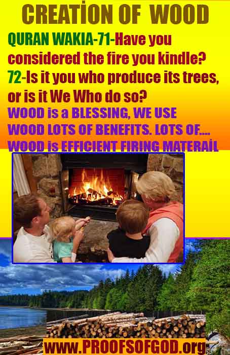 evidences of God, proofs of God, proof of God, signs of God, God is real proofs, God exists proofs, god's signs