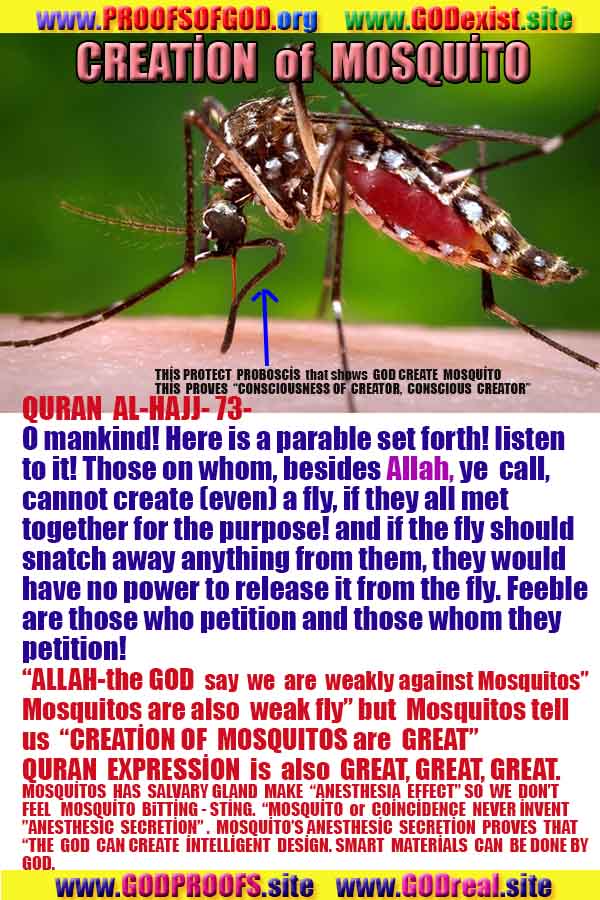 evidences of God, proofs of God, proof of God, signs of God, God is real proofs, God exists proofs, god's evidences