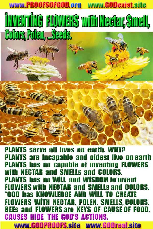 evidences of God, proofs of God, proof of God, signs of God, God is real proofs, God exists proofs, god exists, god is real evidences and proofs