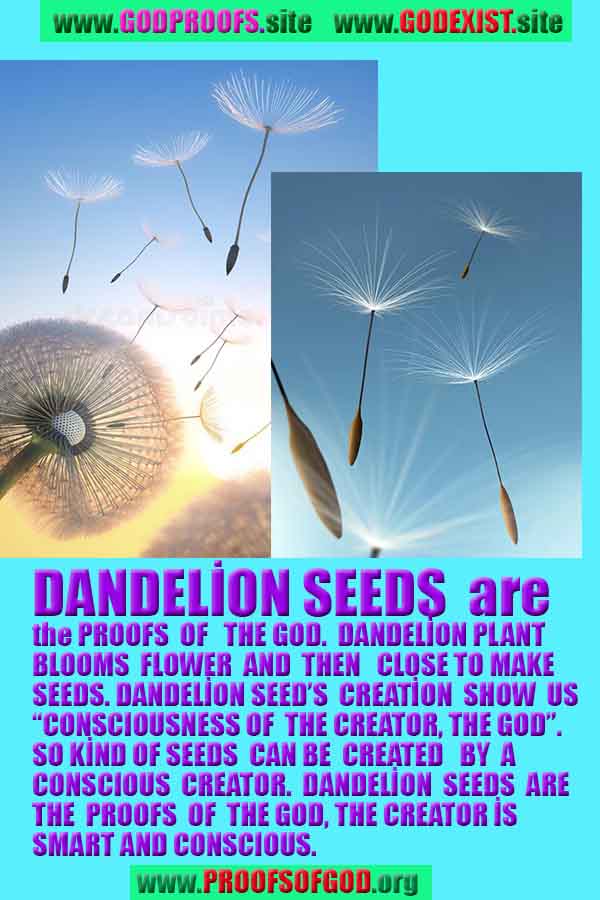 evidences of God, proofs of God, proof of God, signs of God, God is real proofs, God exists proofs, god's signs