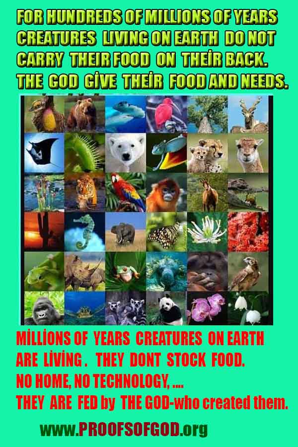 evidences of God, proofs of God, proof of God, signs of God, God is real proofs, God exists proofs, god's signs