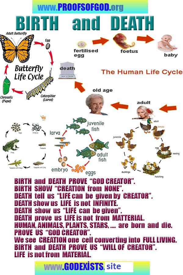 evidences of God, proofs of God, proof of God, signs of God, God is real proofs, God exists proofs, god's evidences