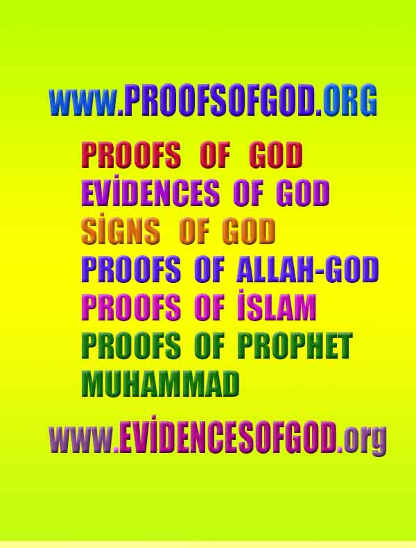 evidences of God, proofs of God, proof of God, signs of God, God is real proofs, God exists proofs, god's proofs