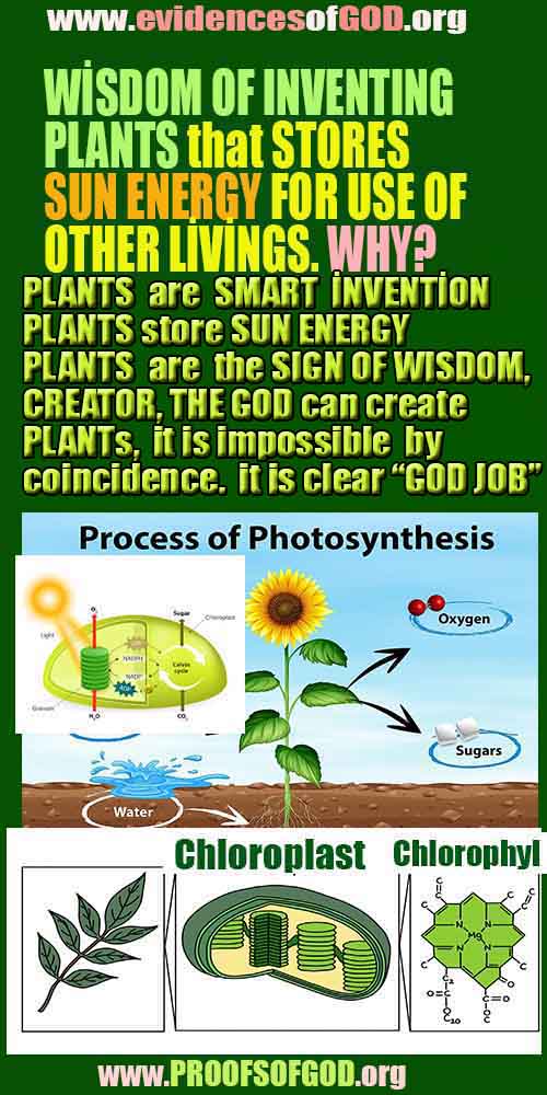 evidences of God, proofs of God, proof of God, signs of God, God is real proofs, God exists proofs, god exists, god is real evidences and proofs