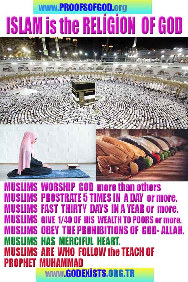 evidences of God, proofs of God, proof of God, signs of God, God is real proofs, God exists proofs, god's proofs